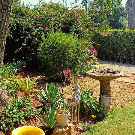 86 On Jubilee Ξενοδοχείο Oudtshoorn Εξωτερικό φωτογραφία